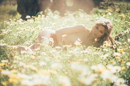 image hosted at ImgTaxi.com