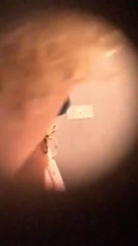 [Image: 68d28fff31a9e.jpg]