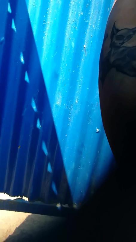 [Image: 68d2906c319de.jpg]