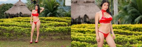 [Image: 68f63ae53e45f.jpg]