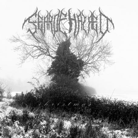 Fearofhatred - Christmas (2025) (MP3)