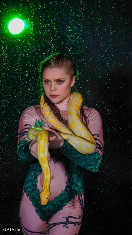 [Image: 69661e8186fee.jpg]