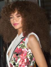 Zendaya-Nip-Slip-1.jpg image hosted at ImgTaxi.com