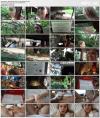Jill Kassidy (Virtual Vacation Singapore 3/9) (2019) HD 2160p Jill Kassidy (Virtual Vacation Singapore 3/9) (2019) HD 2160p