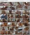Kiara Cole - Sexy Kiara comes over and wants to tempt you (2019) HD 1080p Kiara Cole - Sexy Kiara comes over and wants to tempt you (2019) HD 1080p