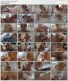 Kiara Cole (POV Sex) (2019) HD 2160p Kiara Cole (POV Sex) (2019) HD 2160p