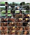 Hime Marie (Virtual Vacation Hawaii #2 12/12) (2019) HD 2160p Hime Marie (Virtual Vacation Hawaii #2 12/12) (2019) HD 2160p