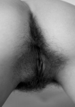 W-XXX-17-080 (88).jpg image hosted at ImgTaxi.com