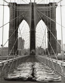 Spencer Tunick, Connections, Brooklyn Bridge, Nyc-1996 1.jpg image hosted at ImgTaxi.com