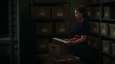 HAagentcartercap142.jpg image hosted at ImgTaxi.com