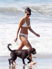 Jordana Brewster bikini pictures