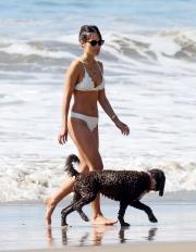 Jordana Brewster bikini pictures