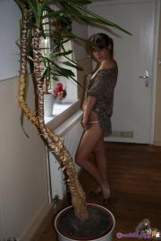 [Image: 6882297fde821.JPG]