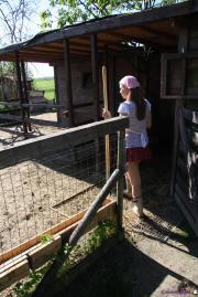 [Image: 68949d4ecdda8.jpg]