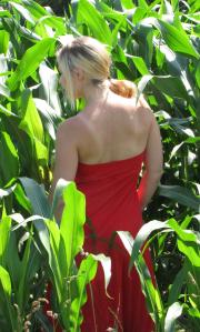 [Image: 68af071334ad4.JPG]