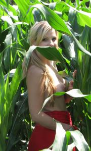 [Image: 68af07c29cb52.JPG]