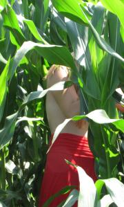 [Image: 68af07c6eb747.JPG]