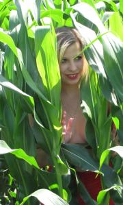 [Image: 68af07d19d999.JPG]