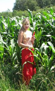 [Image: 68af08465c912.JPG]