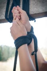 [Image: 6906ca4247acb.jpg]