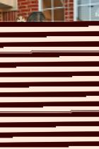 [Image: 69c0b1519d54a.jpg]